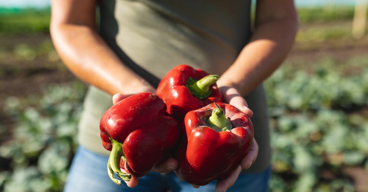 Niektórzy rolnicy zapłacą podatek od samozbiorów. Zaskakująca odpowiedź Ministerstwa Finansów