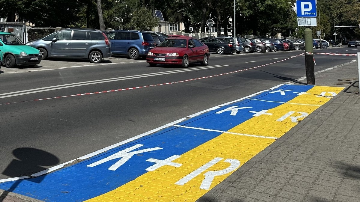 Zobaczyła pasy na ulicy w Rzeszowie i wpadła w szał. "Tu jest Polska!"