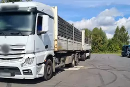 ITD zatrzymała transport jabłek. Dużą ich część trzeba było rozładować