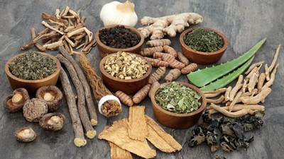 Herbs to avoid during pregnancy [SingaporePaincare]