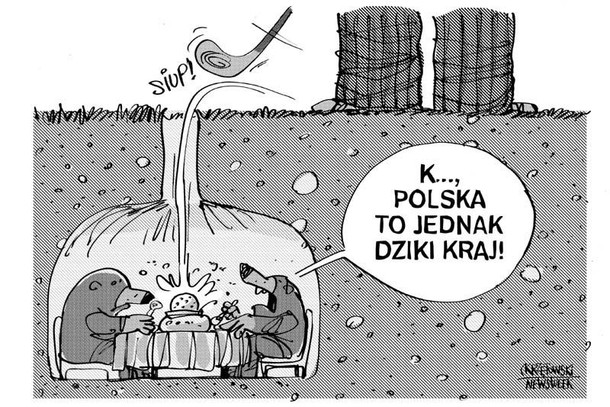 Dziki kraj