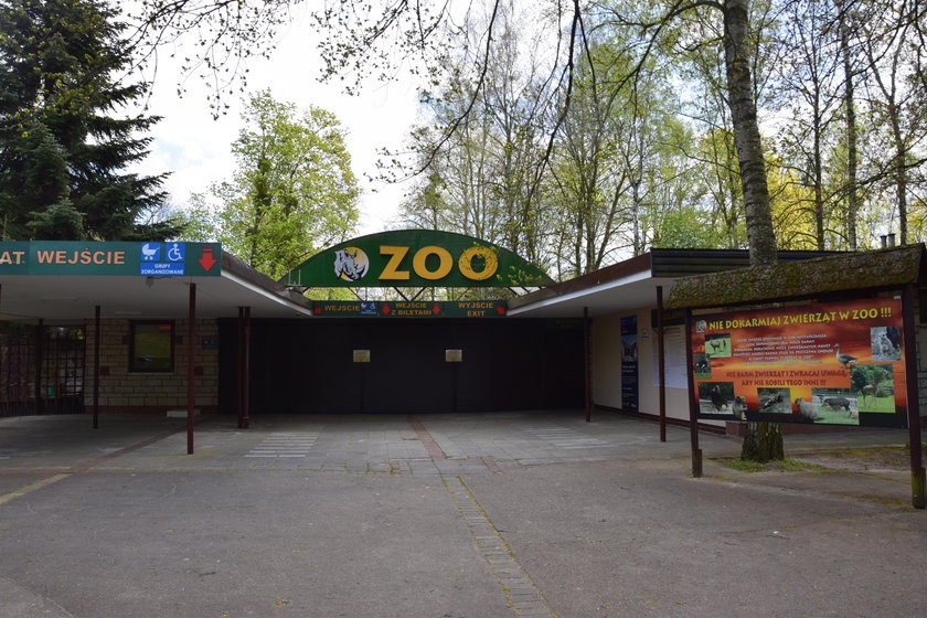 Zoo znów będzie czynne