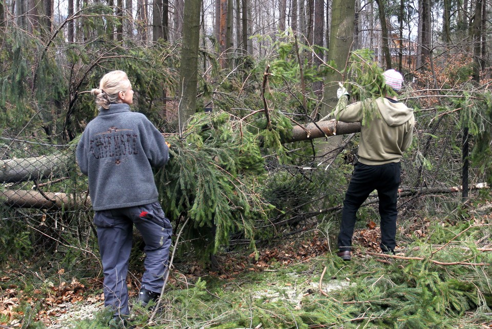 Powalone drzewa, zniszczone domy. Wielkie sprzątanie w Zakopanem