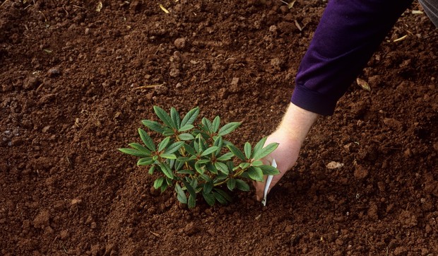 zemlja, zemljište profimedia-0101589478