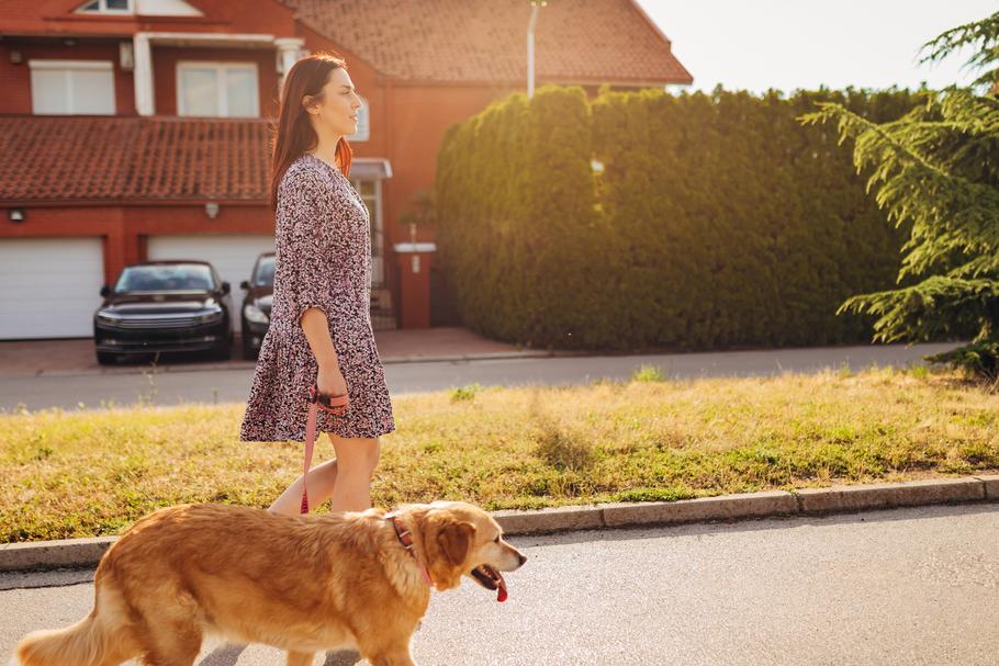 Platforma Pethomer zapewnia opiekę indywidualną. Petsitter określa swoją dostępność i stawki za poszczególne zlecenie, właściciel zaś dobiera opiekuna według swoich preferencji.