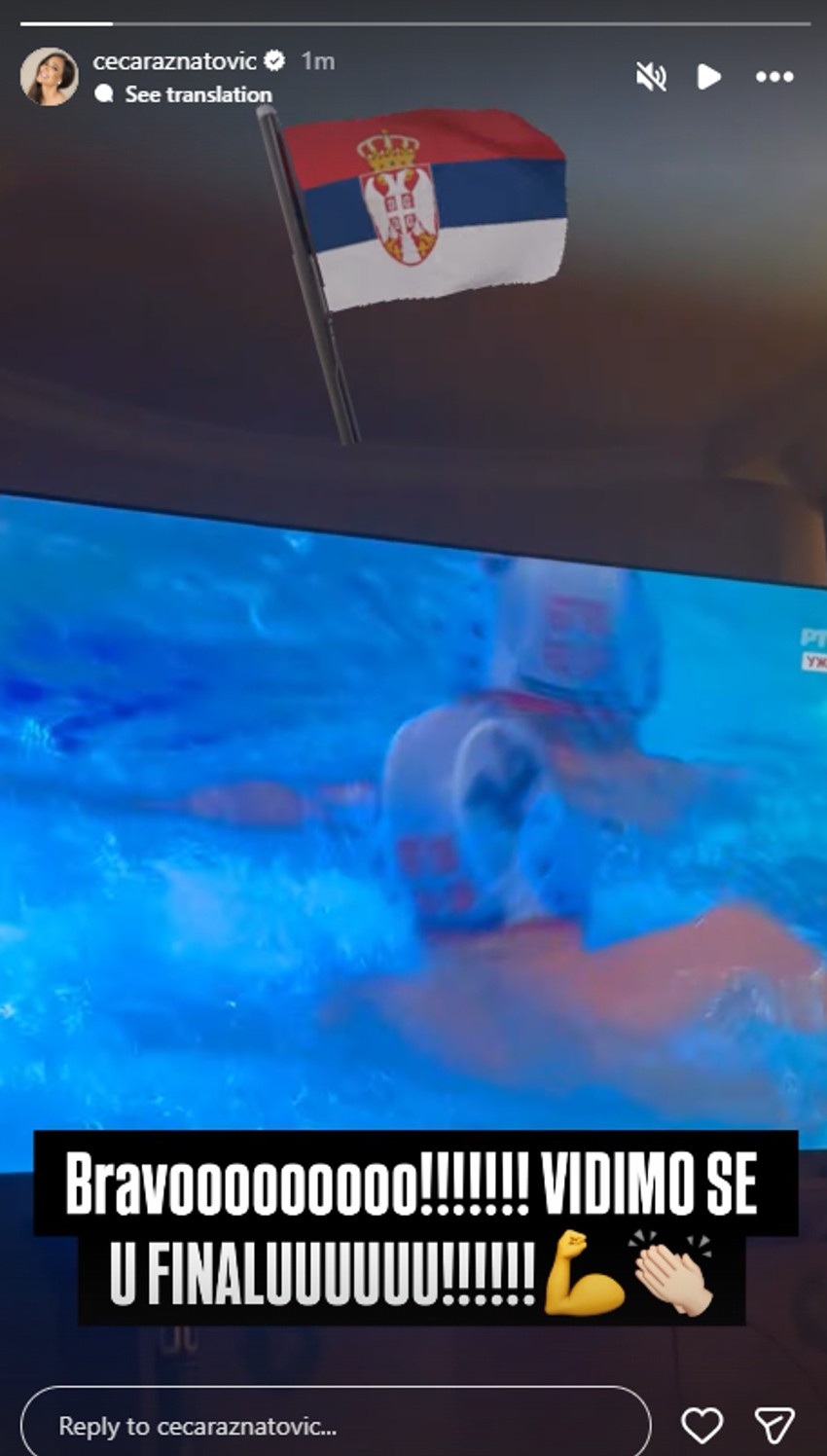 Ceca Ražnatović objava