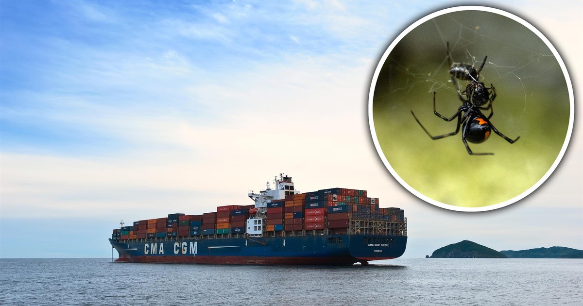 Amerykański statek zatrzymany w porcie na wyspach Pacyfiku. Zaskakujący powód