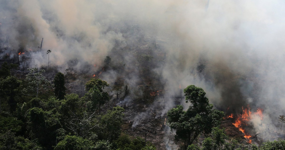 Brazil has seen 100,000 fire alerts in 10 days, but it's not just the ...