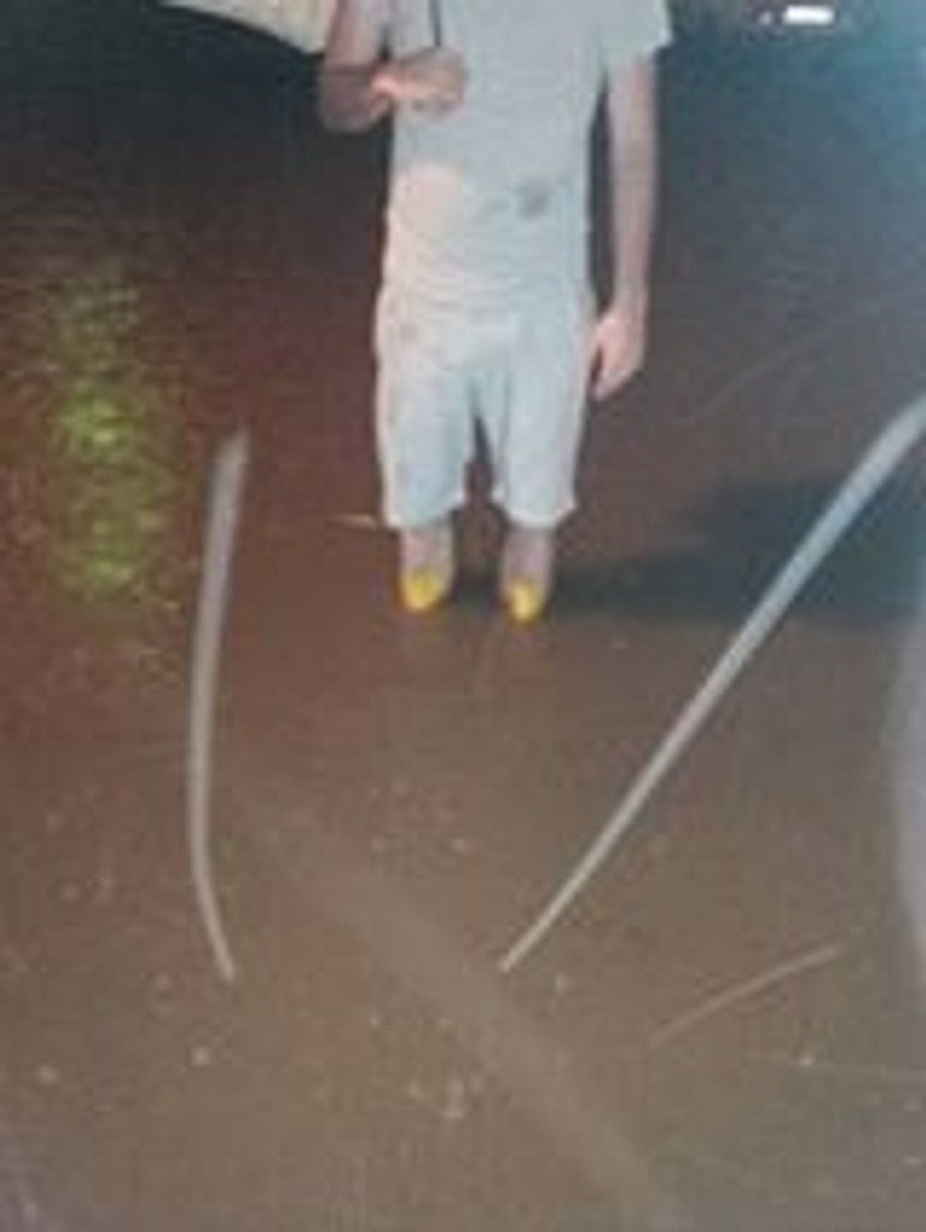 Kiša koja se meša sa feklanom vodom poplavila je celu ulicu