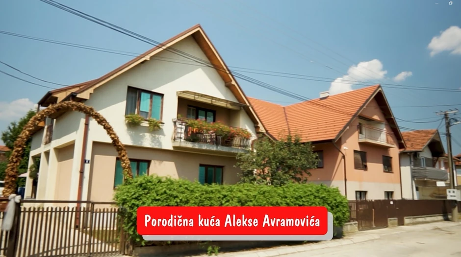 Aleksa Avramović, emisija "Metar moga sela"