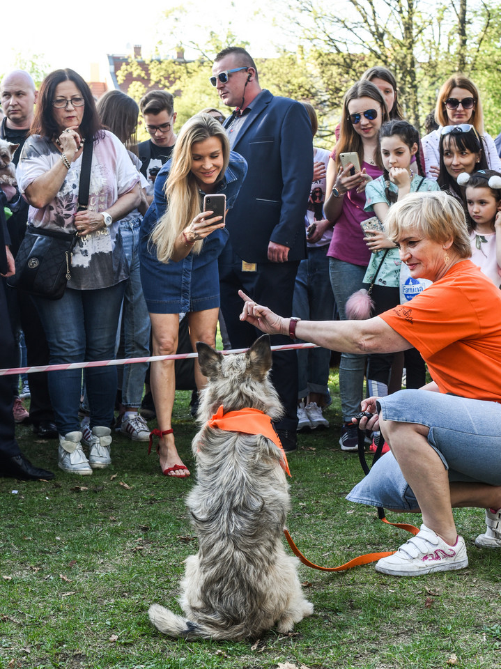 Joanna Krupa w dżinsie zachęca do adopcji zwierząt