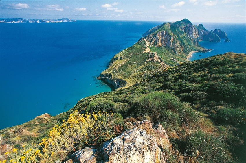 Palmarola 