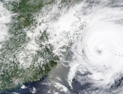 Tajfun In-Fa. Chiny zamykają dworce kolejowe i porty, odwołują loty