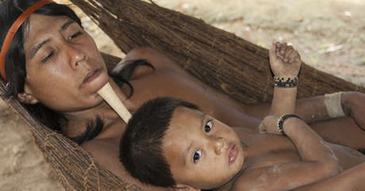 Why Amazonian men father children who are not biologically theirs? - Vimarsana News