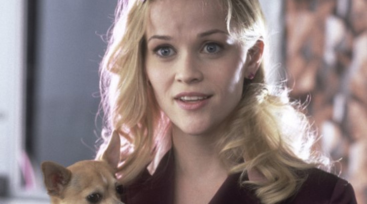 Így változott Reese Witherspoon a Doktor Szöszitől elismert Oscar-díjas színésznővé / Fotó: Northfoto