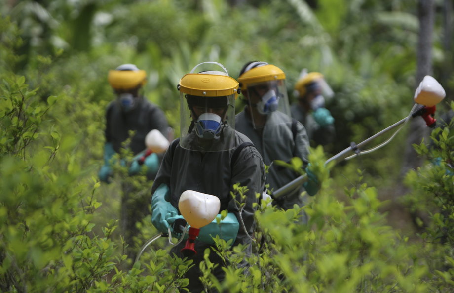 Colombian anti-narcotics police spray herbicide on a coca plantation in La Espriella, near Tumaco, Nariño province, March 7, 2009.