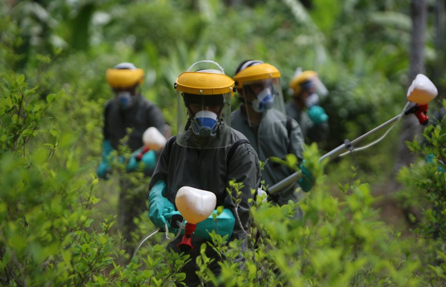 Colombian anti-narcotics police spray herbicide on a coca plantation in La Espriella, near Tumaco, Nariño province, March 7, 2009.