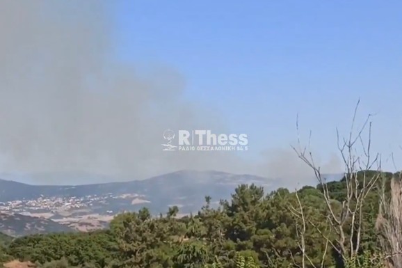 (VIDEO) VELIKI POŽAR U SOLUNU Vatrogasci ga gase i sa kopna i iz vazduha, poslato HITNO UPOZORENJE: "Budite u pripravnosti!"