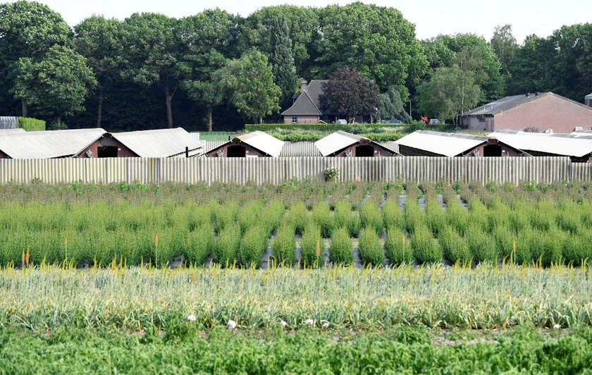 FILE PHOTO: A mink farm is seen during the coronavirus disease (COVID-19) outbreak in Oploo