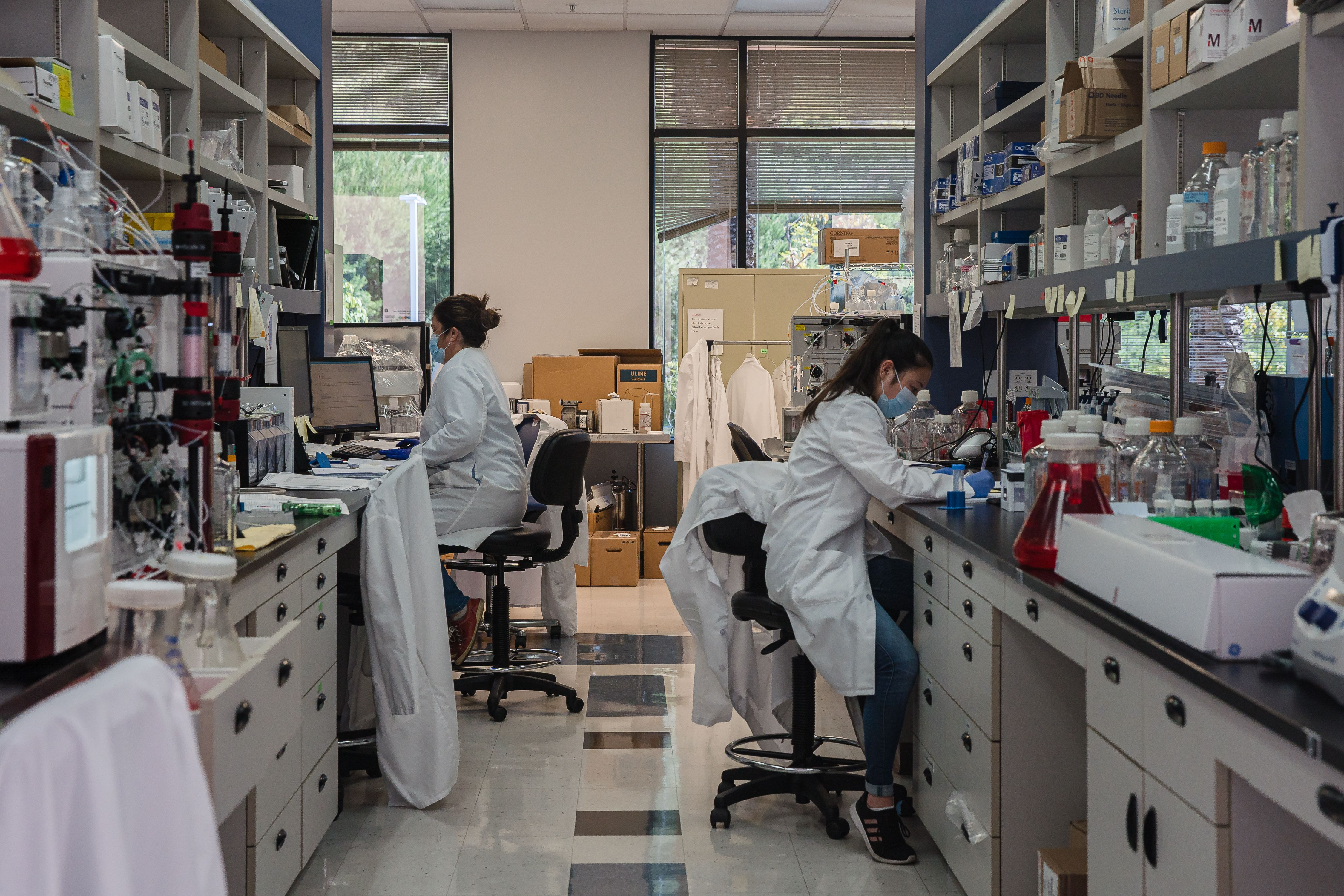 Creato il primo gemello digitale del metabolismo umano: ecco di cosa si tratta