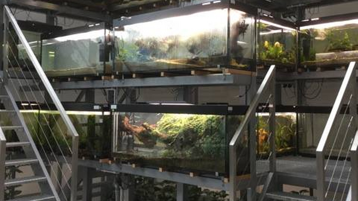 Biolodzy z Uniwersytetu w Białymstoku tworzą akwaria, które wystrojem oraz obsadą roślin i zwierząt naśladują naturalne warunki panujące w wodach Azji, Australii, Afryki, Ameryki Południowej i Europy. Biotopowe akwaria mają pojemność od 150 do ponad 500 litrów i będą częścią wielopoziomowej konstrukcji w Instytucie Biologii UwB.