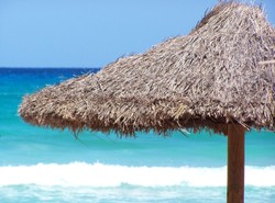 Posłowie są pazerni. Chcą dopłat do wakacji