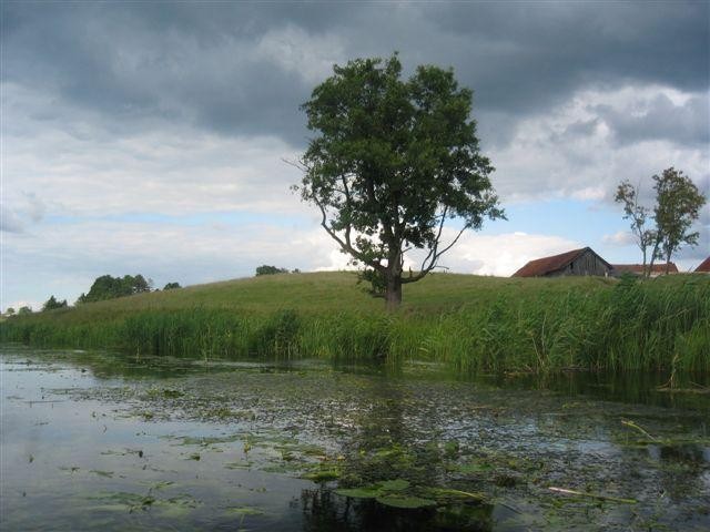 Grzegorz Tarasów