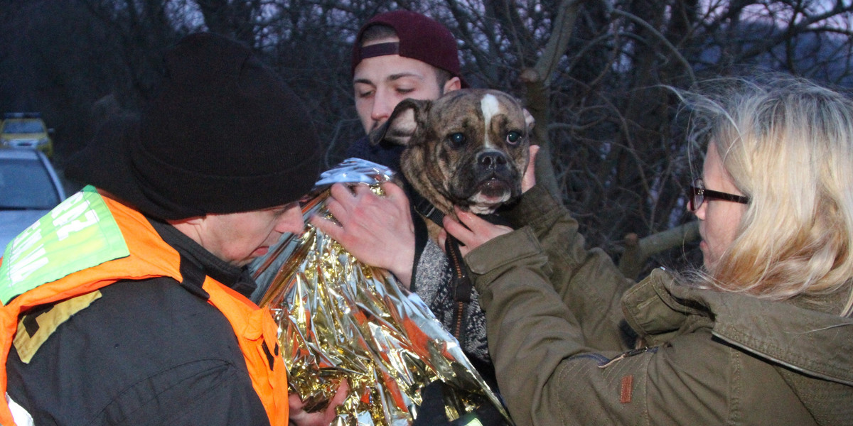 Polscy strażacy uratowali niemieckiego psa