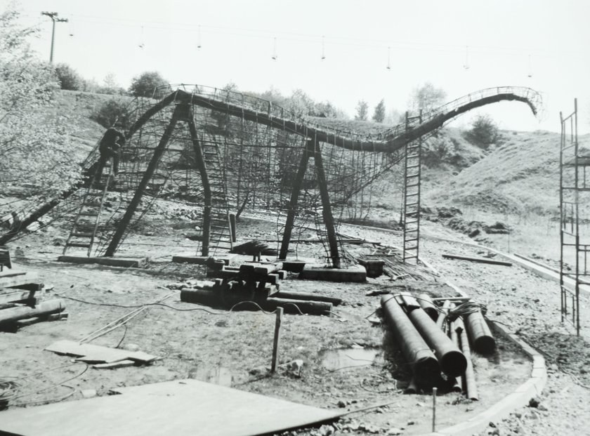 Chorzów. Śląski Ogród Zoologiczny ma 60 lat