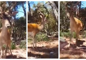 BeFunky-collage (30)