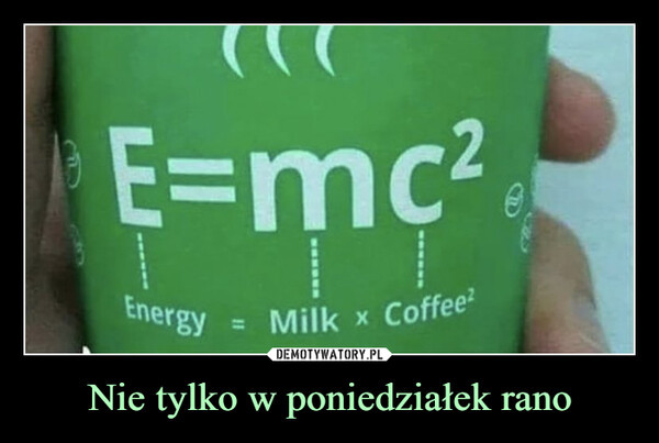 Poniedziałek — najlepsze memy