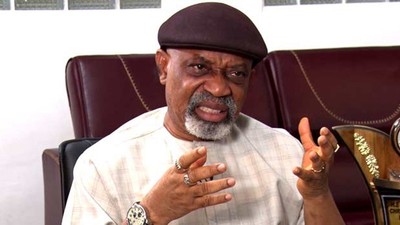 Nigeria's Minister of Labour, Chris Ngige  (Information Nigeria)