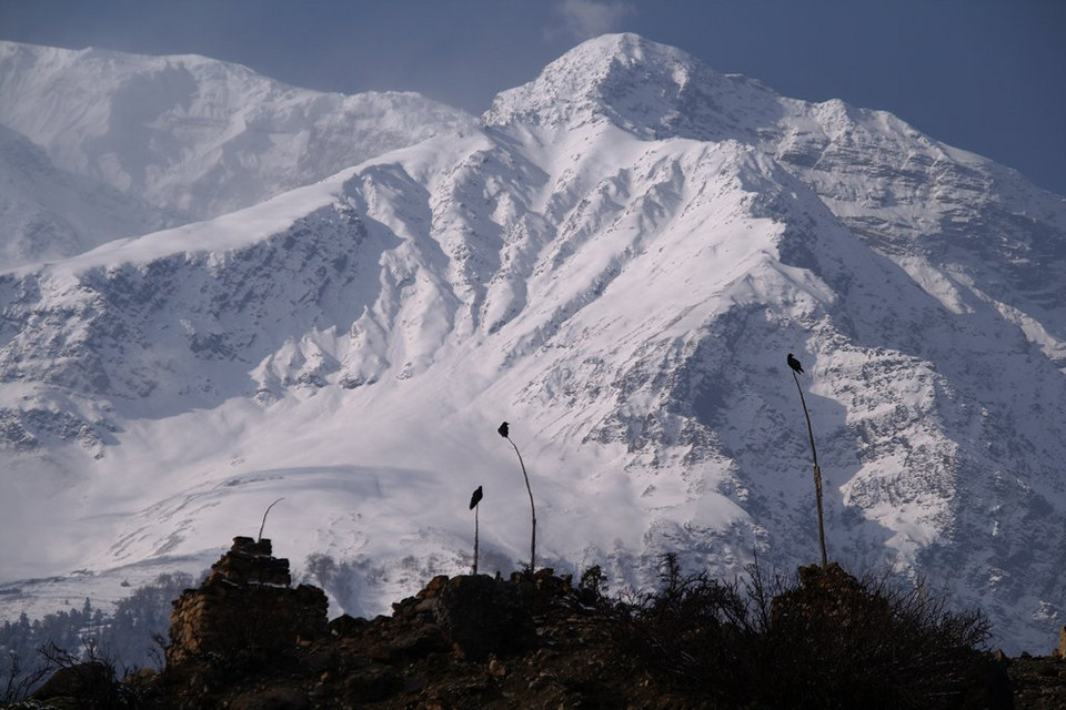 Annapurna – Tilicho