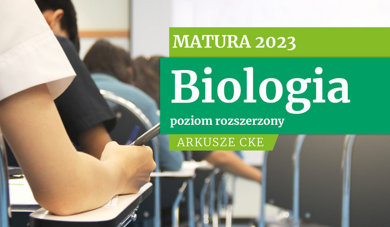 Matura 2023