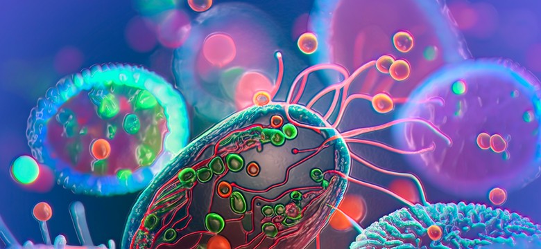 Szybki QUIZ z biologii. Minimum 6/10 powinien zdobyć każdy