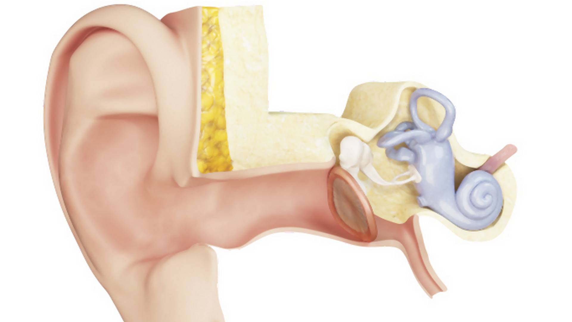 Zapalenie ucha środkowego – przyczyny i przebieg