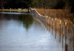 Poplave u Britaniji 20151226_ap_albert cesare_montgomery_Di009148249_preview