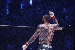 "Materla. Lionheart". Powstał serial o mistrzu KSW