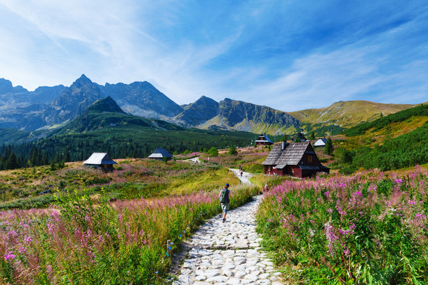 Łatwe szlaki w Tatrach doskonale sprawdzą się dla rodzin z dziećmi i początkujących amatorów gór