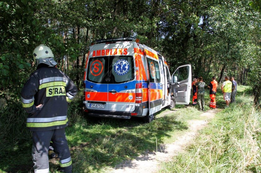 Tragiczny wypadek przy wycince drzew