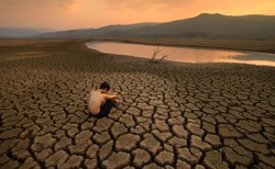 "Zawodność rynku. Jakąż karierę zrobiło to pojęcie w rządowych gabinetach"