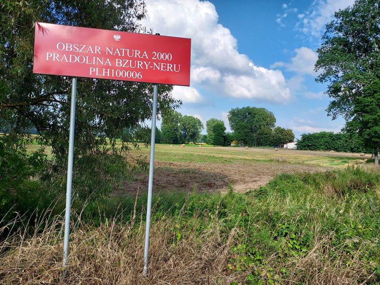 Marwe ryby padają w odcinku Neru na terenie należącym do Obszaru Natura 2000