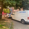 Bežanijska kosa hronika