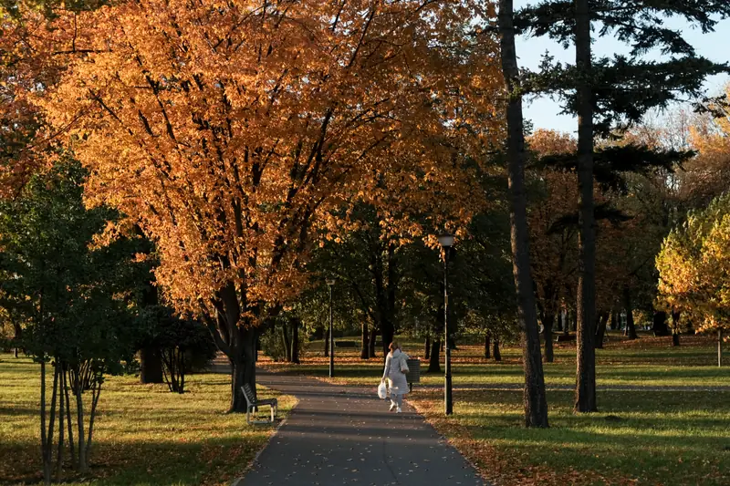 Park im. Karola Marcinkowskiego.