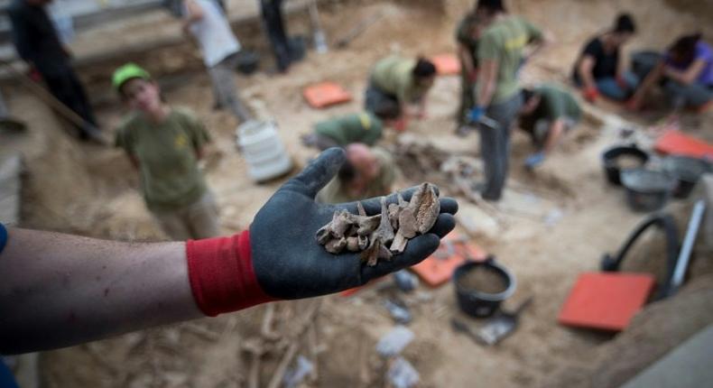 A worker shows human bones exhumed in a mass grave of victims executed by Franco's security forces during Spain's civil war, in Porreres on Mallorca Island on November 4, 2016