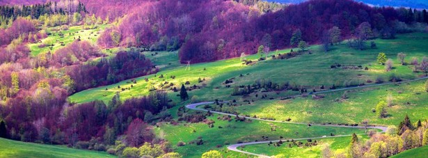 Bieszczady