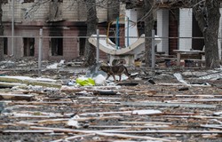 Rosyjskie lotnictwo zaatakowało szkoły i prywatne domy w Czernihowie. Zginęło 9 osób