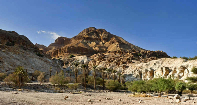 Izrael, Ein Gedi