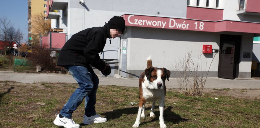 Strażnicy miejscy prześwietlą ci psa!