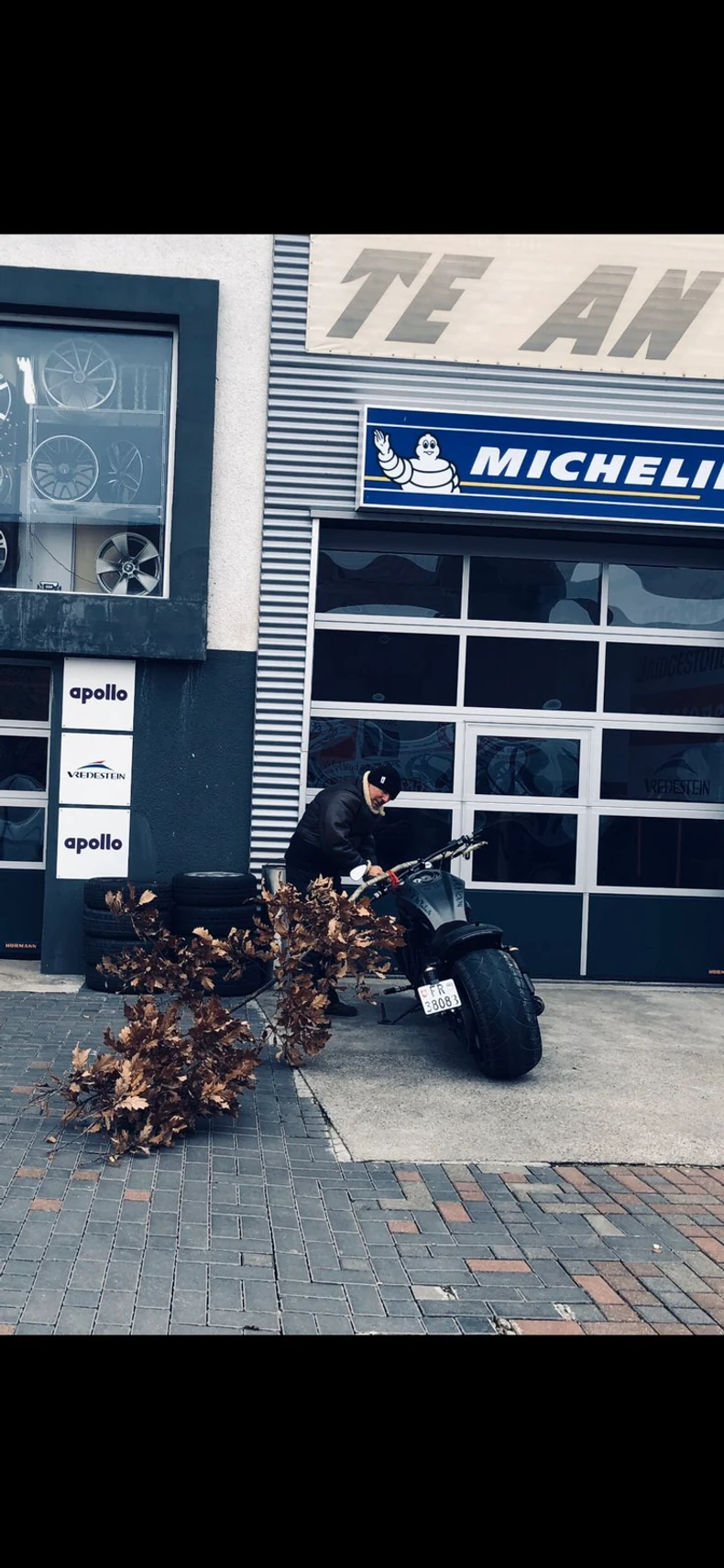 Badnjak je stigao kući